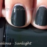 MAC Cosmetics, Fall 2009 – Beyond Jealous nail polish swatch