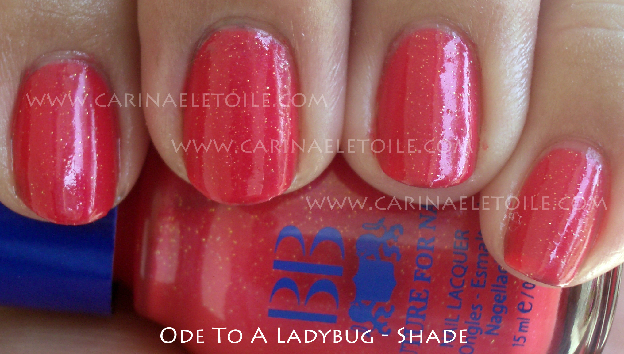 BB Couture Ode To A Ladybug